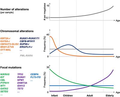 Pediatric Acute Myeloid Leukemia (AML): From Genes to Models Toward Targeted Therapeutic Intervention